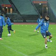 FOTO: frf.ro