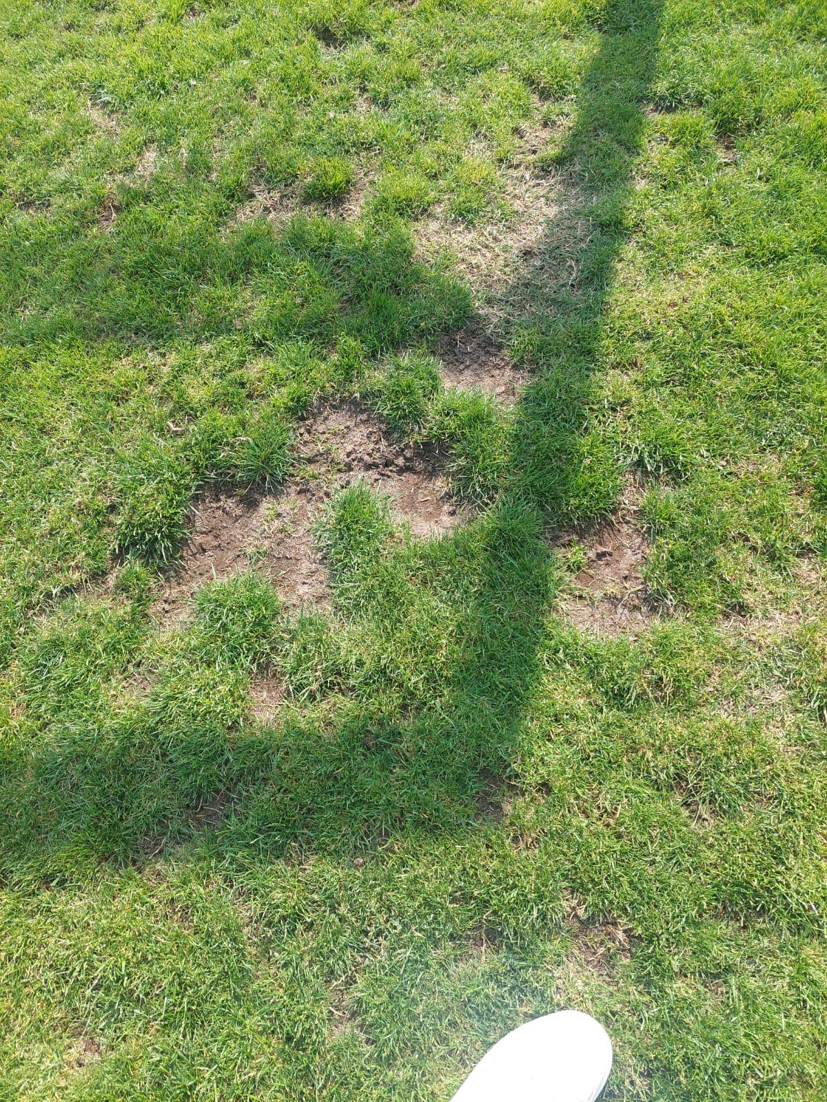 Șefii lui Dinamo au luat în calcul revenirea în „Ștefan cel Mare” » Ce i-a șocat pe „câini”