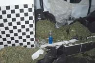 Descoperire incredibilă: plantație de marijuana în vila de un milion de lire a fostului jucător de la Liverpool
