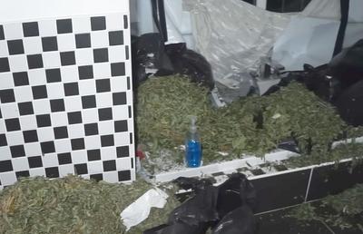 Descoperire incredibilă: plantație de marijuana în vila de un milion de lire a fostului jucător de la Liverpool
