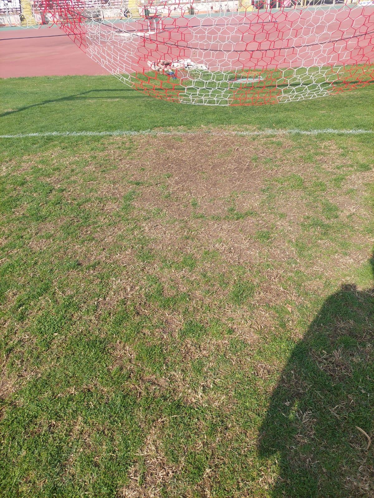 Șefii lui Dinamo au luat în calcul revenirea în „Ștefan cel Mare” » Ce i-a șocat pe „câini”