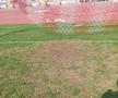 Șefii lui Dinamo au luat în calcul revenirea în „Ștefan cel Mare” » Ce i-a șocat pe „câini”