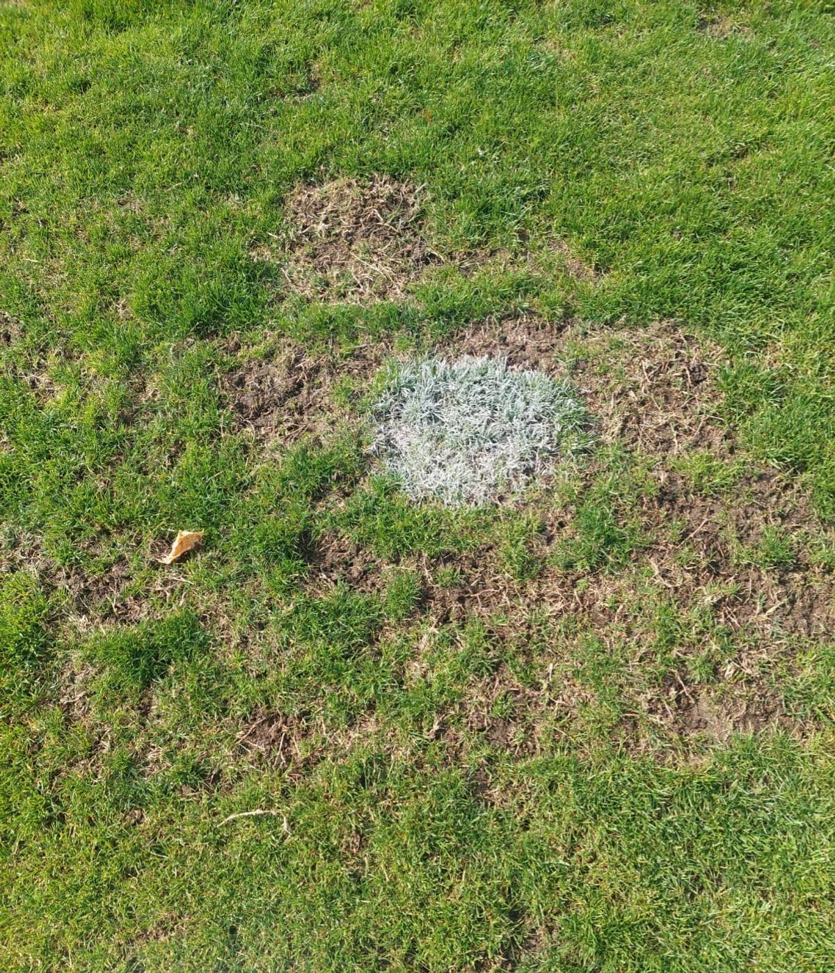 Șefii lui Dinamo au luat în calcul revenirea în „Ștefan cel Mare” » Ce i-a șocat pe „câini”