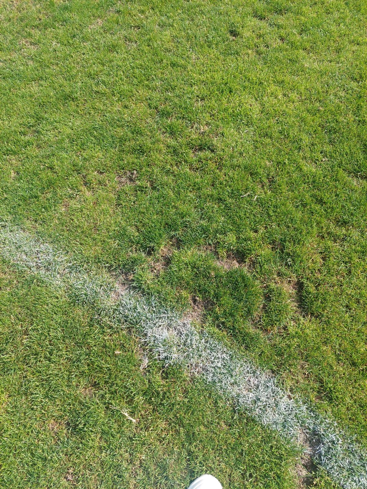Șefii lui Dinamo au luat în calcul revenirea în „Ștefan cel Mare” » Ce i-a șocat pe „câini”
