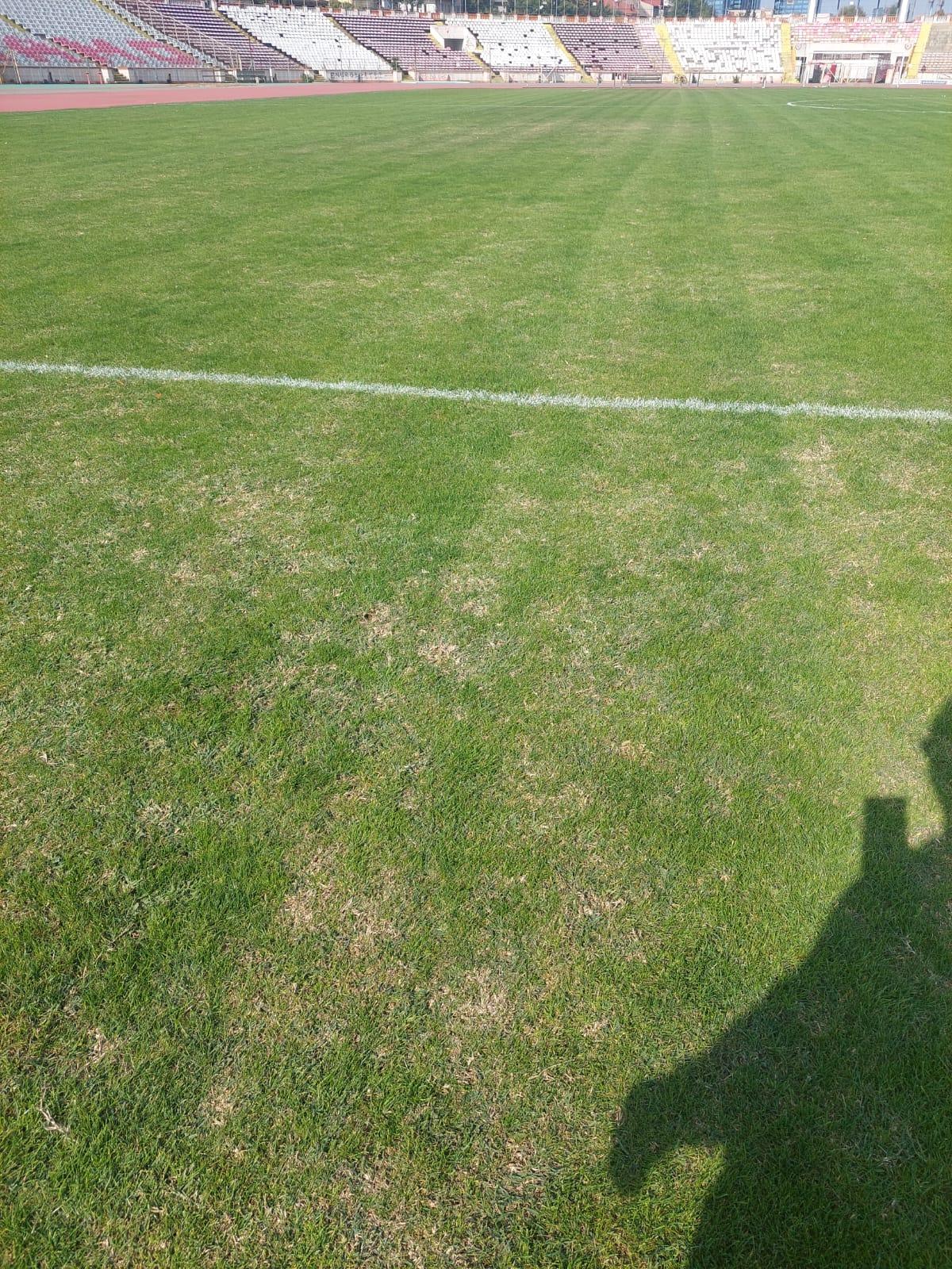 Șefii lui Dinamo au luat în calcul revenirea în „Ștefan cel Mare” » Ce i-a șocat pe „câini”