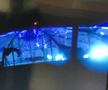 Acoperișul stadionului formației Tampa Bay Rays, distrus de Uraganul Milton, foto: X