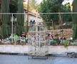 Zona cipriotă din Nicosia FOTO: Ionuț Iordache (GSP)