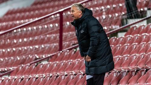 Dan Petrescu