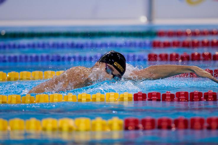 FOTO: Raed Krishan (GSP)