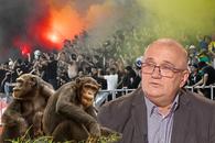 Emil Grădinescu a comparat fanii unei echipe din România cu niște cimpanzei! » Reacție incredibilă la audierea de la CNA: „Îmi cer scuze pentru cimpanzei”