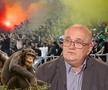 Emil Grădinescu a comparat fanii unei echipe din România cu niște cimpanzei! » Reacție incredibilă la audierea de la CNA: „Îmi cer scuze pentru cimpanzei”