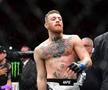 Conor McGregor - evergreen