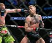 Conor McGregor - evergreen
