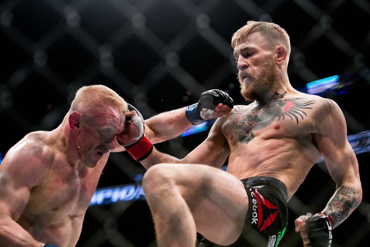 Conor McGregor - evergreen