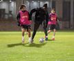 Dan Petrescu, prezentat la Kayserispor