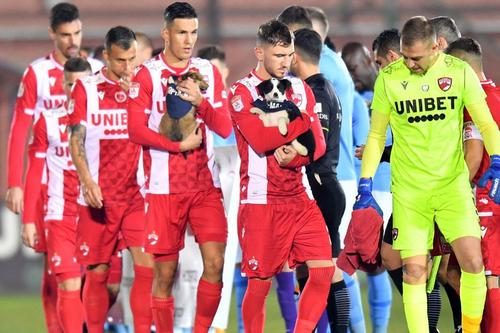FOTO: Cristi Preda (GSP)