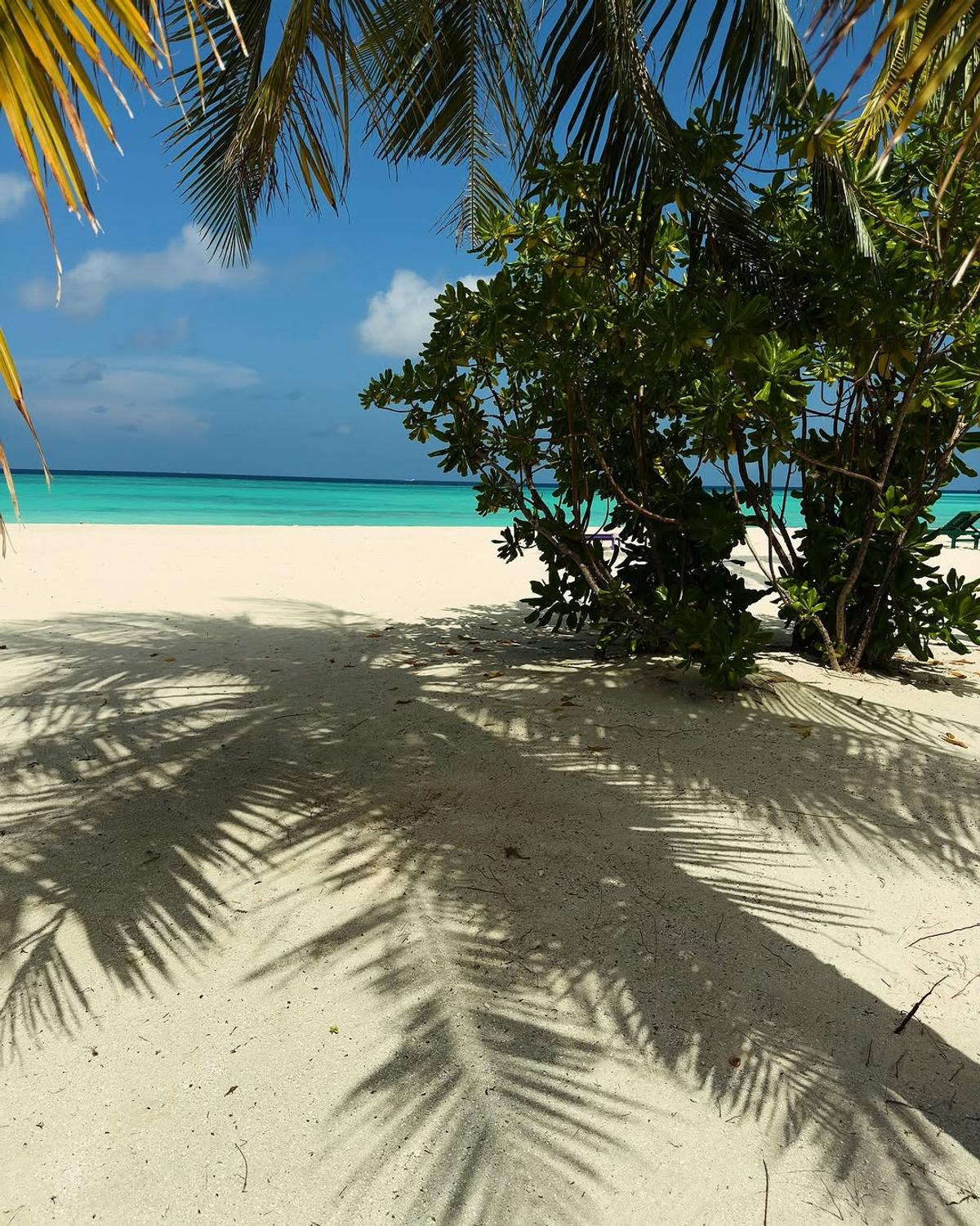 Vacanța Corinei Caragea în Maldive, ruinată » Ce a pățit prezentatoarea știrilor sportive: „E gold doar la buzunar”