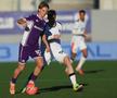 Fiorentina - AC Milan, în etapa #20 din Serie A // FOTO: Getty Images