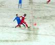 Penalty după câteva secunde în Botoșani - Craiova! Bîrsan le-a refuzat eronat o lovitură de pedeapsă gazdelor