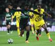 Sporting - Dortmund/ Foto: Getty
