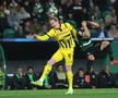 Sporting - Dortmund/ Foto: Getty