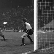 Dinamo - Hamburg (foto: arhiva GSP)