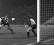 Dinamo - Hamburg (foto: arhiva GSP)