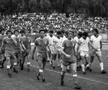Dinamo - Farul (foto: arhiva GSP)