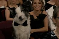 Messi a fost vedeta serii la gala Premiilor Oscar de la Los Angeles. Ce rol a jucat în filmul „Anatomia unei căderi”!