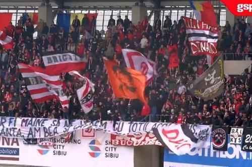 suporterii lui Dinamo