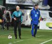 Alina Peșu, arbitru FIFA