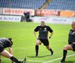 Alina Peșu, arbitru FIFA