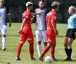 Alina Peșu, arbitru FIFA