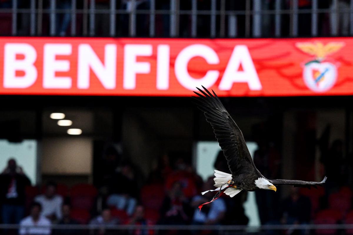 Inter, lecție de fotbal în turul „sfertului” cu Benfica » Tot mai aproape de o semifinală 100% italiană