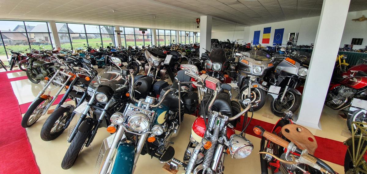 30.000 € pentru bijuteria Nadiei! A acceptat oferta, după ce îl refuzase și pe Ion Țiriac