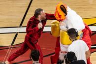 Dintr-o glumă, a ajuns la spital » Mascota de la Miami Heat s-a dus la Urgențe după loviturile primite de la Conor McGregor