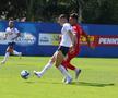 Amical România - CS Tunari. Foto: FRF