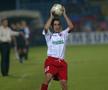 Florentin Petre - evergreen