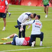 Edi Iordănescu a avut emoții cu Nicușor Bancu. În urma unui duel, a avut nevoie de intervenția echipei medicale. Foto: Ionuț Iordache (GSP)