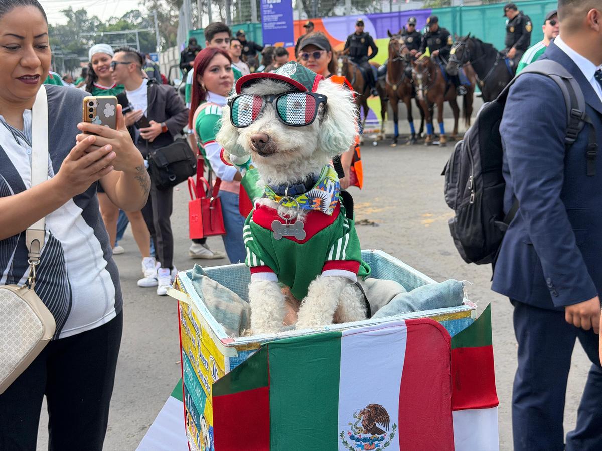 Au transformat Mondialul într-o fiesta mexicană » Spectacol extraordinar în deschidere: 80.000 de oameni la stadion de la 8 dimineața!