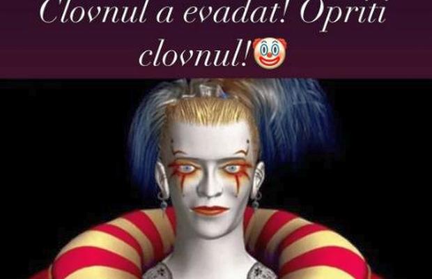 „Clovnul a evadat! Opriți clovnul!” » Daniel Niculae, ripostă explozivă la miezul nopții, după ce Șumudică l-a acuzat că era „cu carafele de vin pe masă”