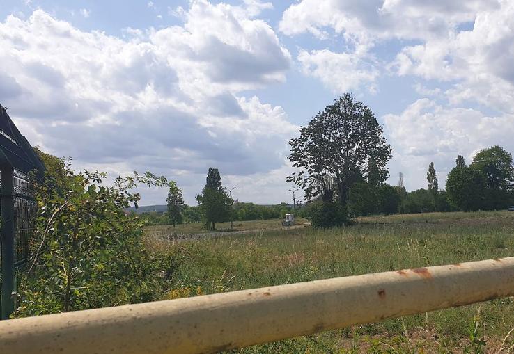Stadionul lui FC Argeș a ajuns astăzi o pajiște în totă regula / Sursă foto: Facebook@ Mădălin Protopopescu