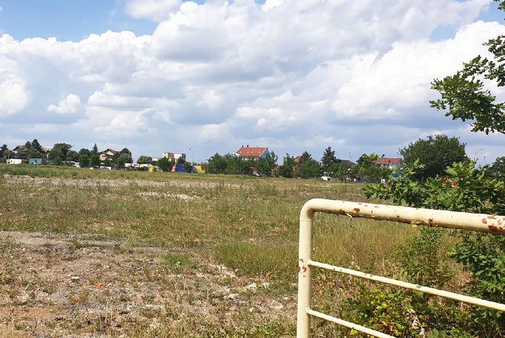 Stadionul lui FC Argeș a ajuns astăzi o pajiște în totă regula / Sursă foto: Facebook@ Mădălin Protopopescu