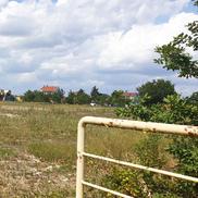 Stadionul lui FC Argeș a ajuns astăzi o pajiște în totă regula / Sursă foto: Facebook@ Mădălin Protopopescu