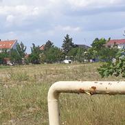 Stadionul lui FC Argeș a ajuns astăzi o pajiște în totă regula / Sursă foto: Facebook@ Mădălin Protopopescu