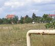 Stadionul lui FC Argeș a ajuns astăzi o pajiște în totă regula / Sursă foto: Facebook@ Mădălin Protopopescu