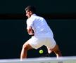 Jannik Sinner - Novak Djokovic, semifinală Wimbledon 2025