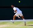 Jannik Sinner - Novak Djokovic, semifinală Wimbledon 2025