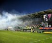 Imagini de la FC Arges - Rapid (2)
