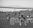 Povestea ultimului derby Rapid - Steaua din comunuism: „Galeria noastră s-a bătut parte-n parte cu Miliția! S-a jucat până a câștigat cine trebuia!”